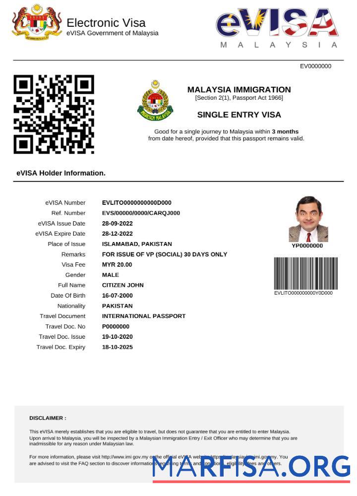 Realistic Malaysia e visa in Word and Pdf template